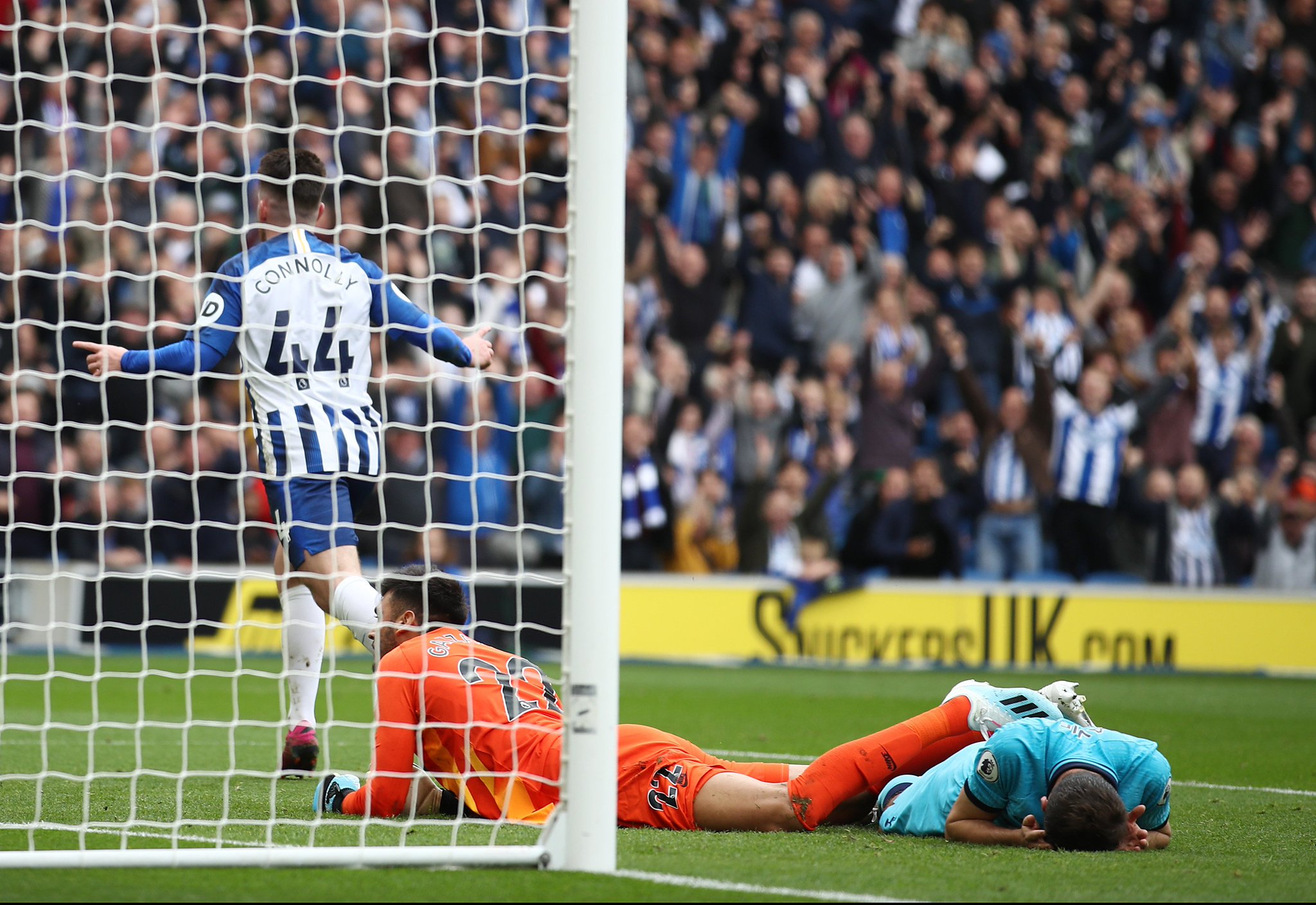 供了宝贵的 供了宝贵的